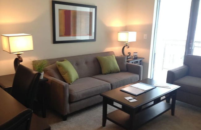 National at Tysons II - Photo 9