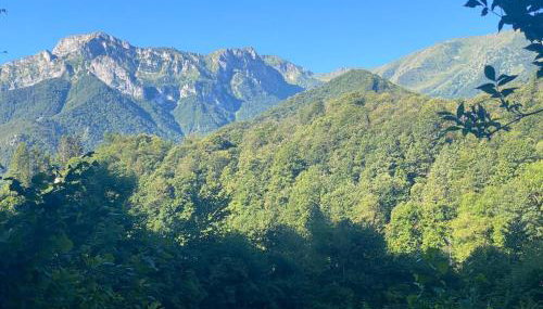 Relax, Comfort & Alps Adventures - Foto 3