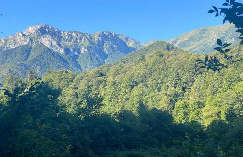 Relax, Comfort & Alps Adventures - Photo 15