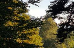 Chez Nave au pied du Meygal - Foto 42