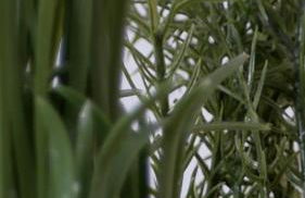 Capstay studio avec grande terrasse proche aéroport Bastia - Lucciana - Centre - Foto 16