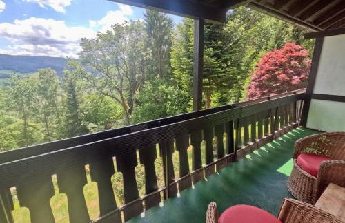 Appartementhaus Schwarzwaldblick - Foto 78