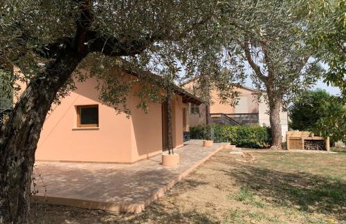 La stalla di nonno Zopito casa vacanze - Foto 7