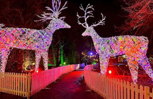 Contractor-Friendly 2BR Gem Wi-Fi Free Parking - Foto 25