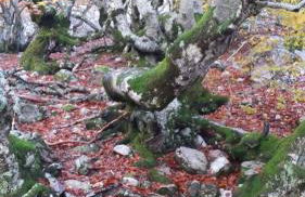 Apartamentos Monte Hernanz - Foto 54