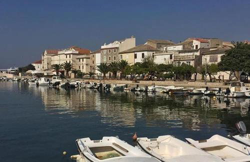 Sunny Bi-Pi Apartment - Photo 11