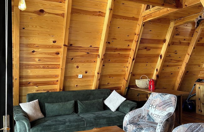 KAYIP ORMAN DAĞ EVLERİ - Foto 1