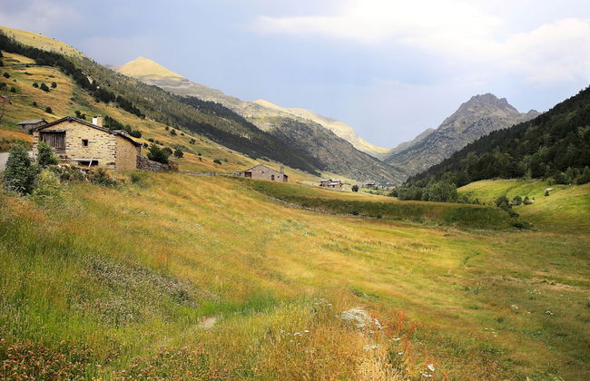 La Pleta de Soldeu Apartments - Foto 8