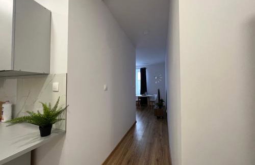 Nowe mieszkanie, fajna kamienica - Foto 2