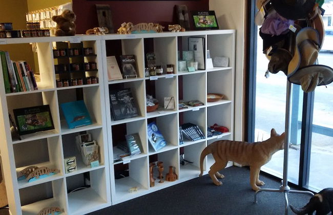 BIG4 Strahan Holiday Retreat - Foto 2