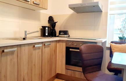 Moderne Ferienwohnung,Sauna im Haus, Parkplatz Hunde willkommen, nahe Schloss, Waldeisenbahn, Hermansbad, UNESCO Geopark, nahe polnischer Markt, Top Lage für Ausflugsziele zum Wandern oder Radfahren - Foto 16