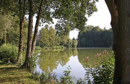 Ferienwohnungen Haus Fernblick - Photo 8