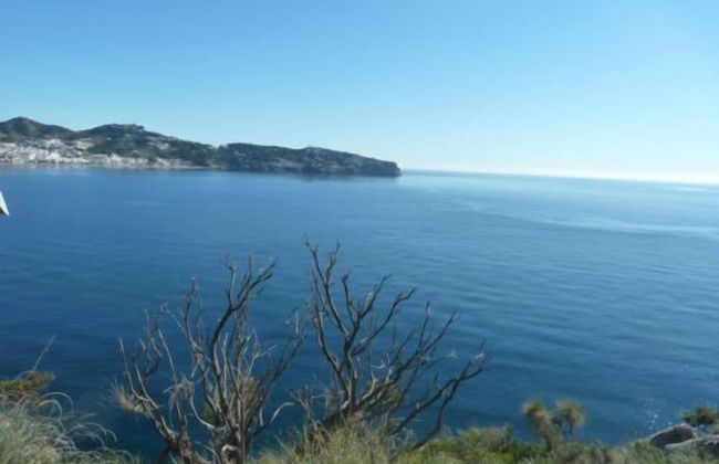 Apartamentos Playamaro - Foto 136