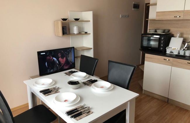 Palace De Luxe - Apartments - Foto 21