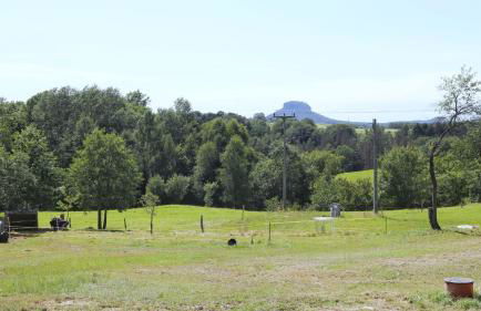 Auszeit mit Weitblick in der Sächsischen Schweiz - kleiner Bauernhof mit Tieren und Wallbox - Foto 27