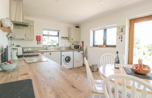 Black Cat Bach - Foto 12