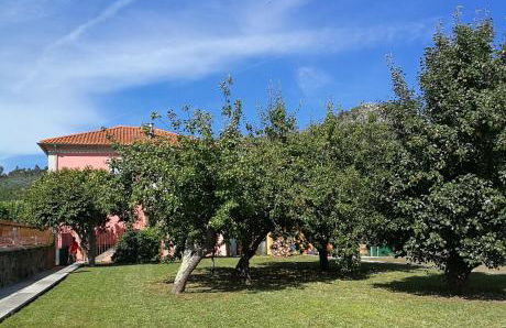 Casas Marias de Portugal - Cerveira - Foto 22