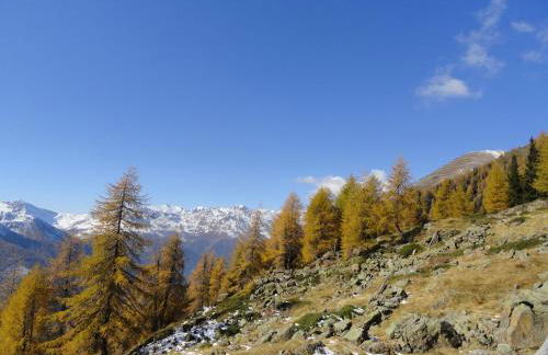 B&B Mas di Zonadi - Foto 22