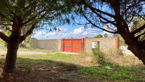 Mas Catalan - Foto 3