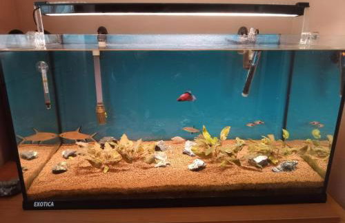 Marina Bay - Foto 18