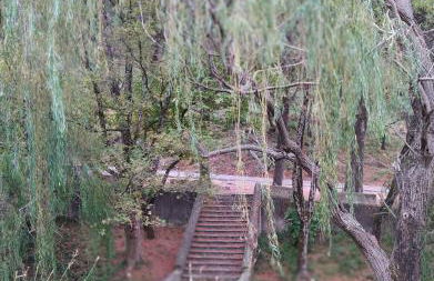 LA CRUZ DE LA ATALAYA - Foto 2