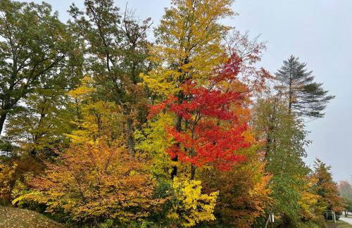 2026 Summer Cottage Sleeps 6, 2 Bedrooms Sun Room Jaccuzi 1 Mile to Beach! - Foto 30