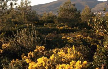 Family home 5min away from Guincho Beach - Foto 13