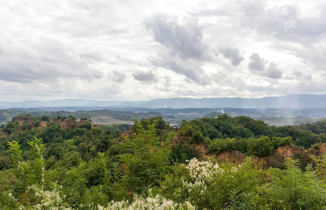 Belvilla by OYO Il Belvedere - Foto 35