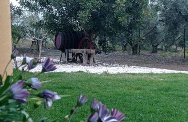 La Buganvilla, descanso entre olivares - Foto 18