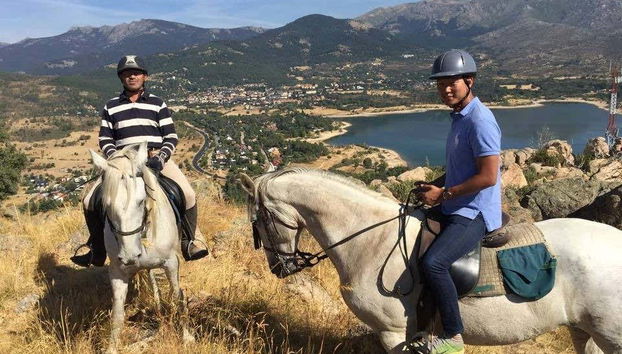 On the back of the friendly horses