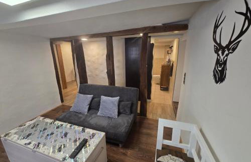 Zauberhafte Wohnung in der Nähe von Heidelberg, top Lage - Foto 8