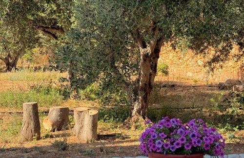 Thelma and Louise house - Foto 37