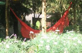 Refúgio Aconchegante em Canela Natureza & Conforto CAN131 - Foto 18