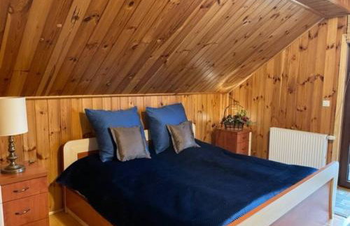 BESKIDIUM - uroczy dom Brenna - Foto 23