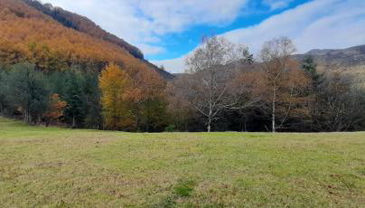 Ondarbaso Apartamentos Rurales II - Foto 5