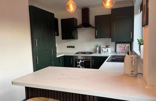 A Modern Classic 2 bed apartment by Graves Park - Foto 20