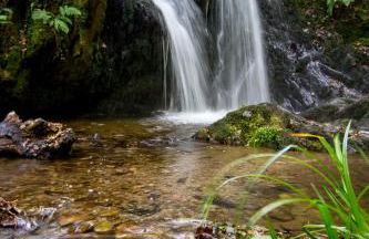 Ty Pren Bach - Foto 25