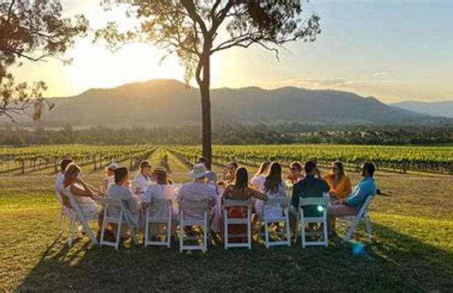 Winmark Wines - Foto 45