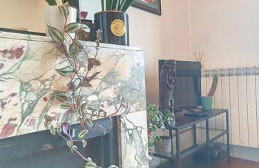 Spacieux T3 80m2 plein centre presque ile ! - Foto 5