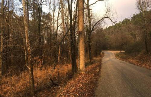 Woodhaven, darling romantic cabin, ATV trails, Mena, AR - Foto 43