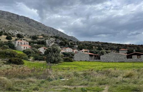 Cretan Hive - Foto 16