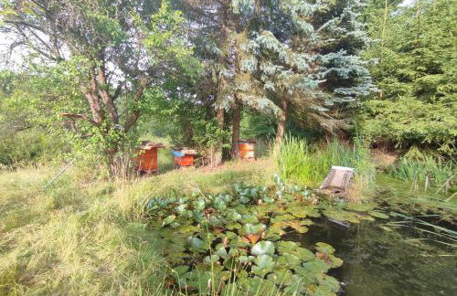 Haus "Grimberg" FeWo 1-stock oder FeWo 2-stock & Zusätzliches Zimmer - Photo 57