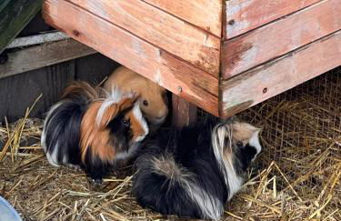 Villa au Gré du Vent - Foto 23