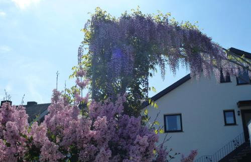 Weingut Harald Ludwig - Foto 41