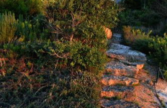 Casa da Pescaria - Com vista para o Oceano - Foto 28