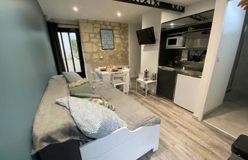 Studio Indre climatisé, La halte de Cuzé, aux abords de la Loire à vélo - Foto 15