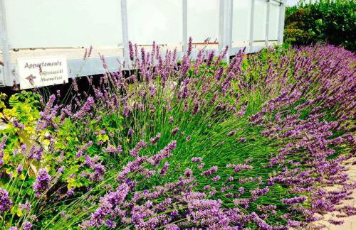 Villa Stubnitz - Foto 5