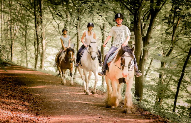 Nengshof - Haus Ehrenpreis - Foto 11