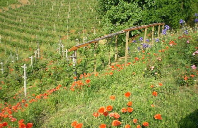 Casa Isabella - Foto 46