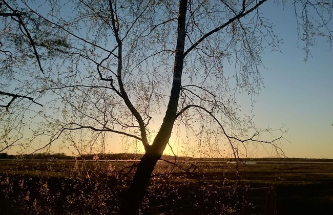 6 Person Holiday Home in Hammaro-by Traum - Foto 14